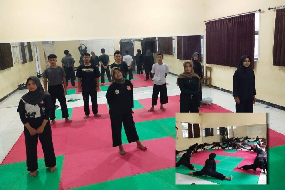 Pencak Silat